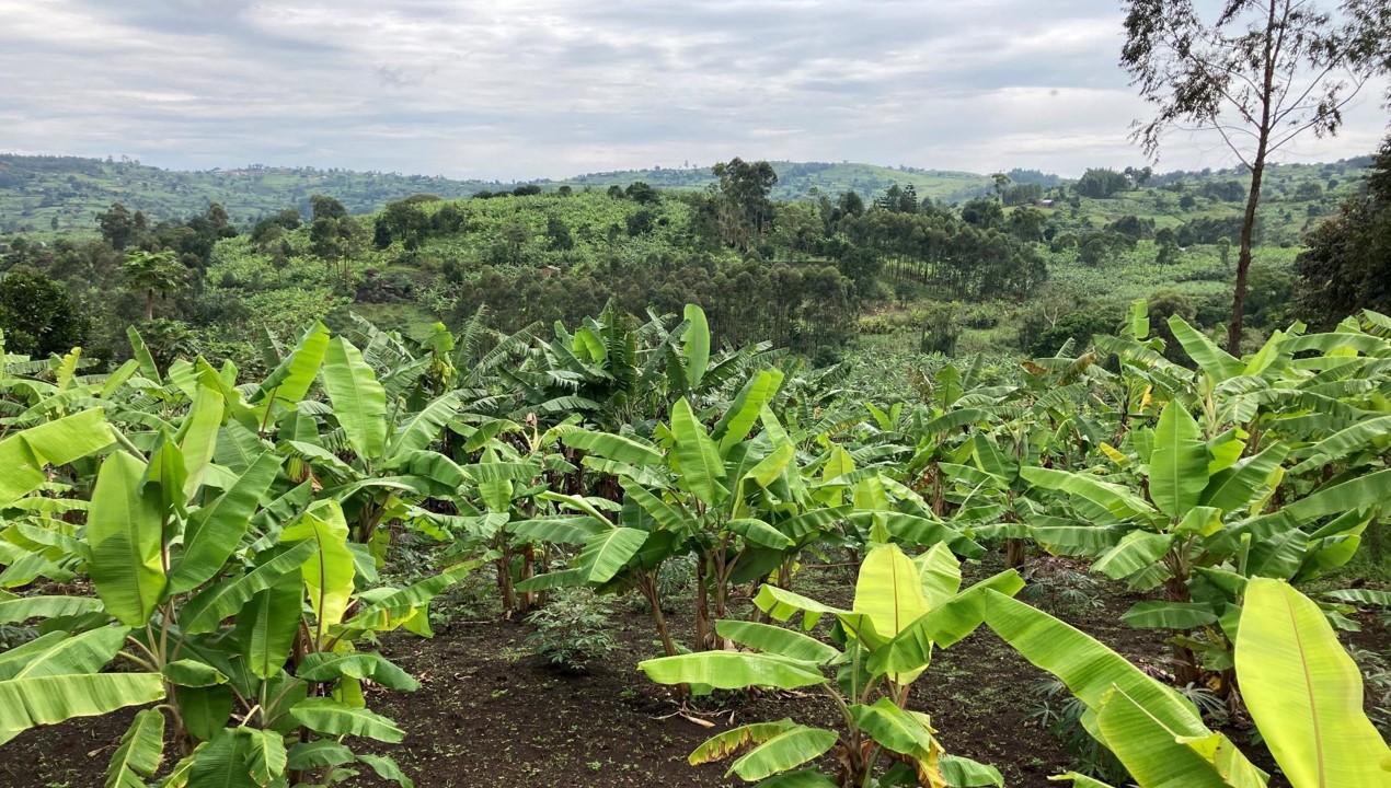 New CORDIS Article Highlights BIO4Africa’s Impact on Circular Bio-Based Solutions in Rural Africa