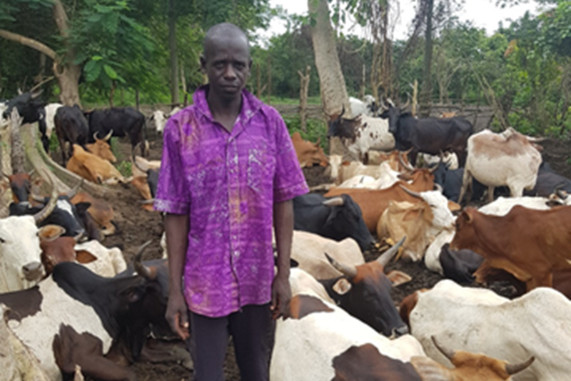 Contexts and needs of African rural communities