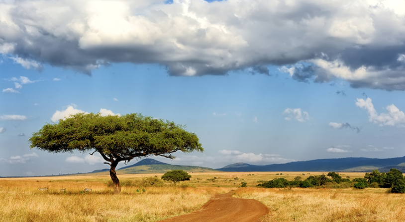 Africa Business Forum – 16 December 2022