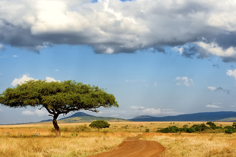 Africa Business Forum – 16 December 2022