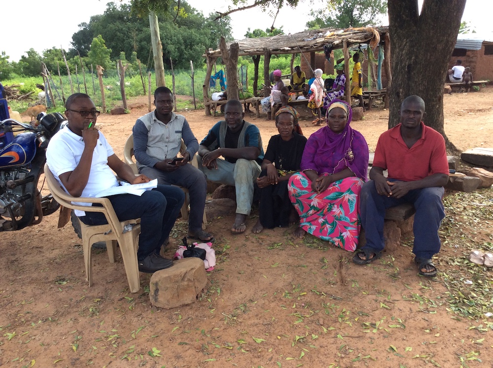 Report on novel bio-based value chains and markets analysis