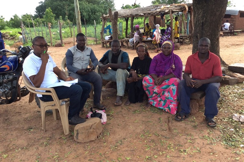 Report on novel bio-based value chains and markets analysis