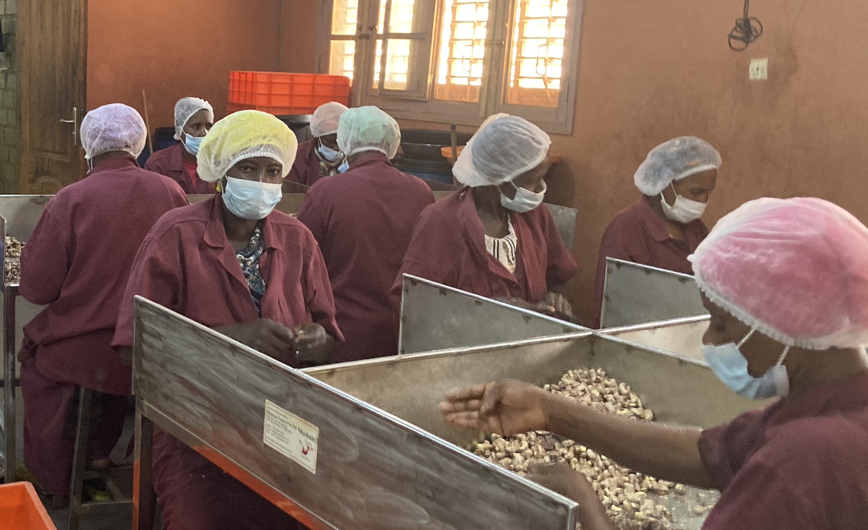 Cashew coop finds business in a nutshell