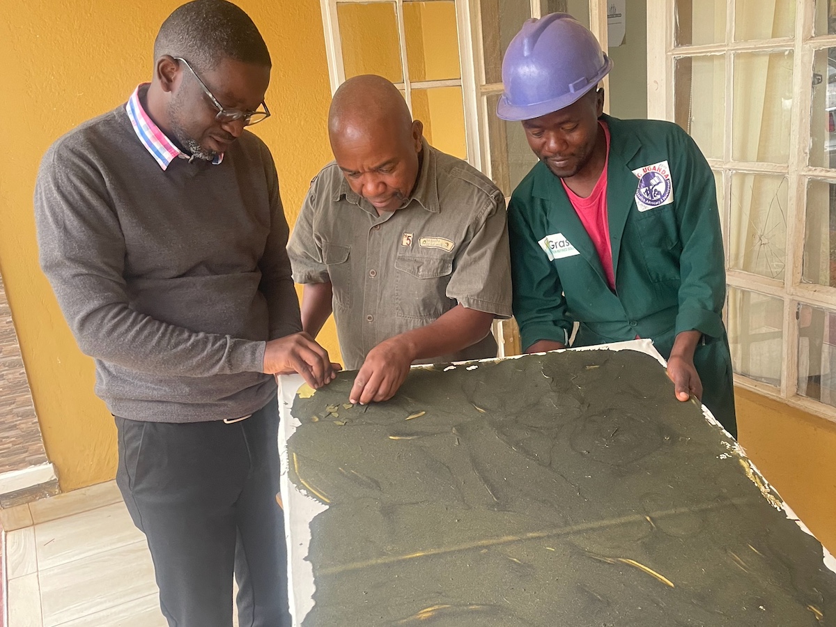 Green biorefinery optimisation – a work in progress