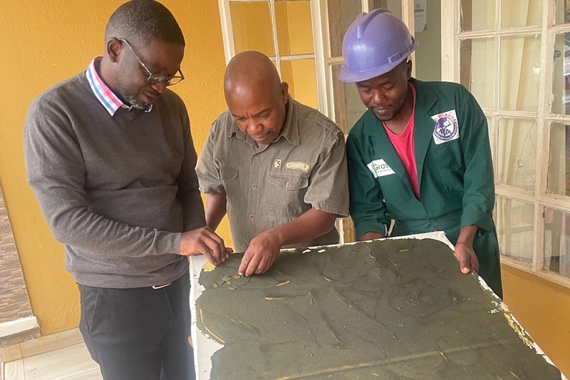 Green biorefinery optimisation – a work in progress