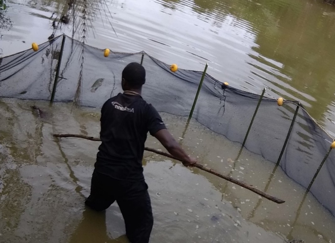 Catalogue of small-scale bio-based technologies suitable for rural Africa