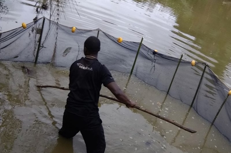 Catalogue of small-scale bio-based technologies suitable for rural Africa