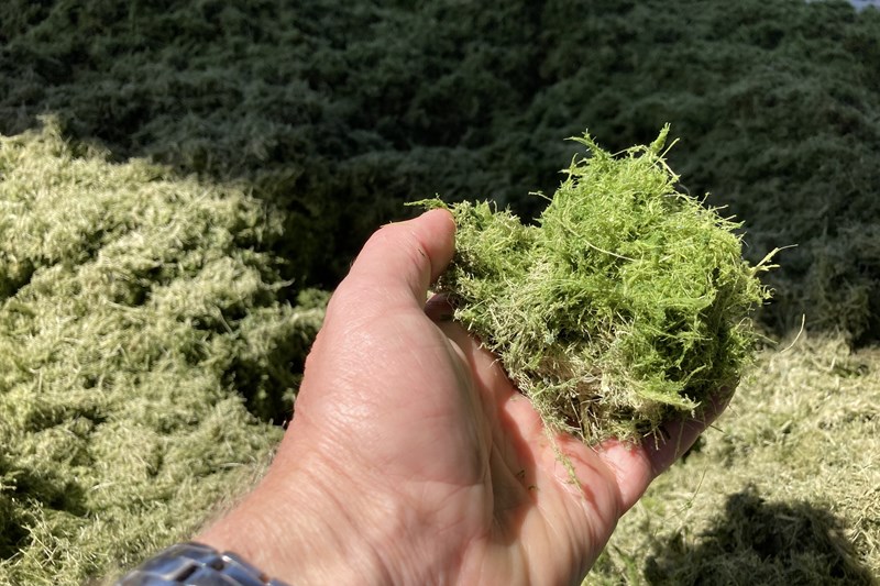 Results of life cycle assessments per pilot case: initial version