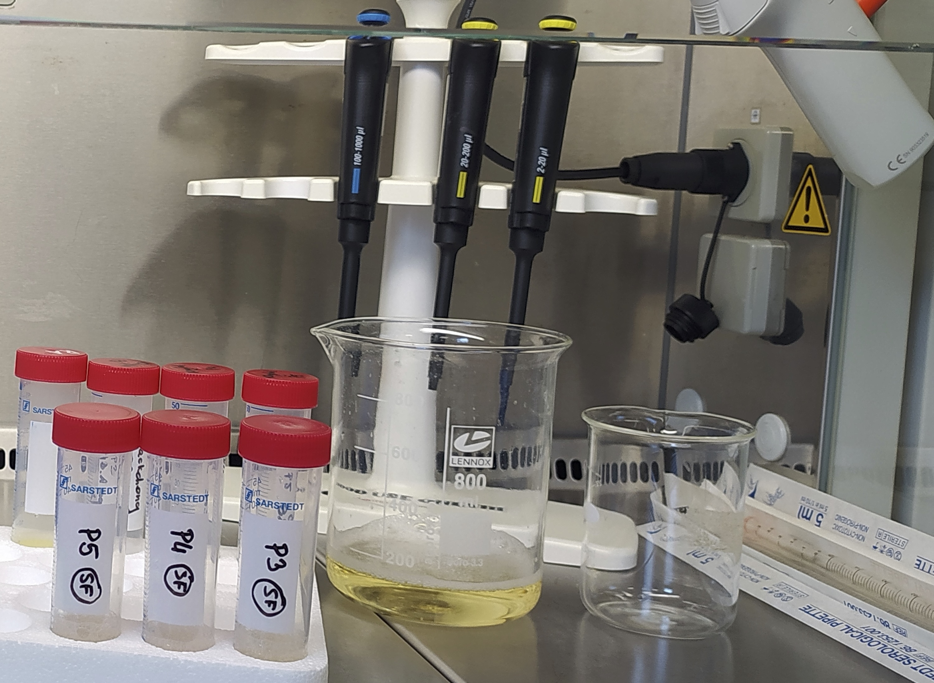 Does whey juice hold the secret to healthy ageing?