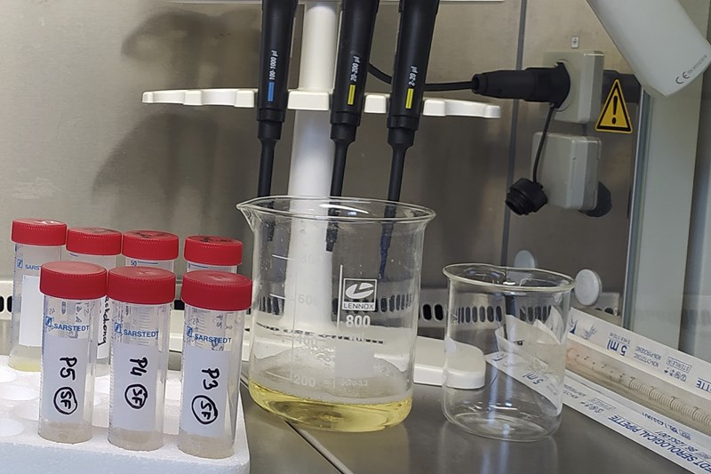 Does whey juice hold the secret to healthy ageing?