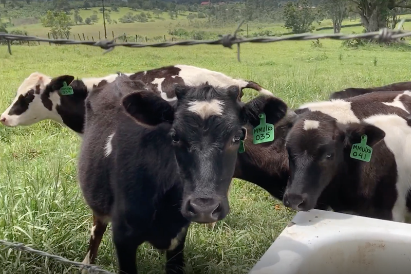 First BIO4Africa field tests make good progress