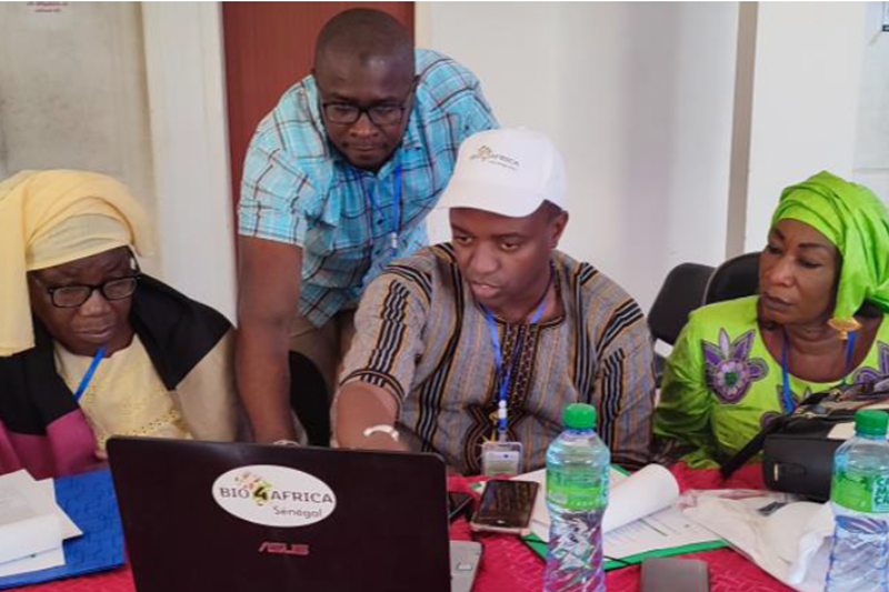 Policy briefs for an African bioeconomy