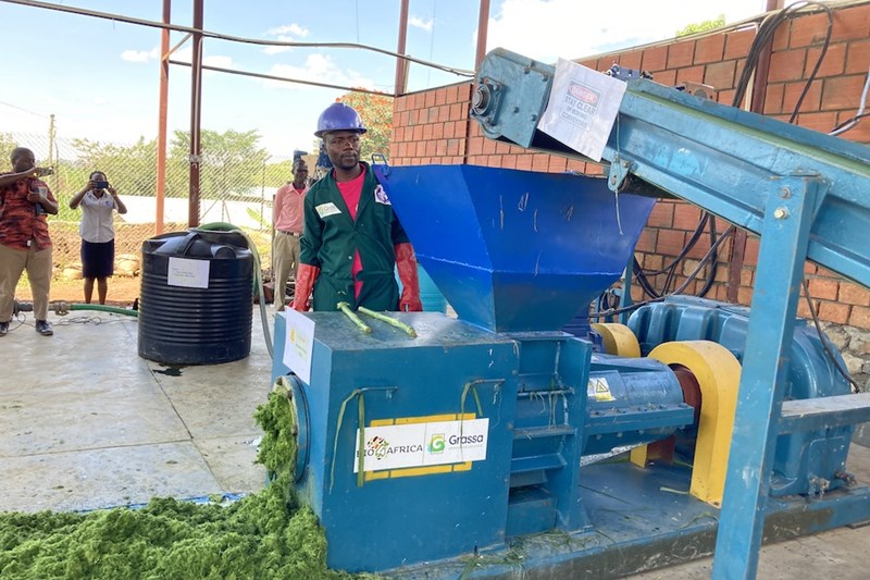 Report on inclusive and sustainable bio-based business models for rural Africa