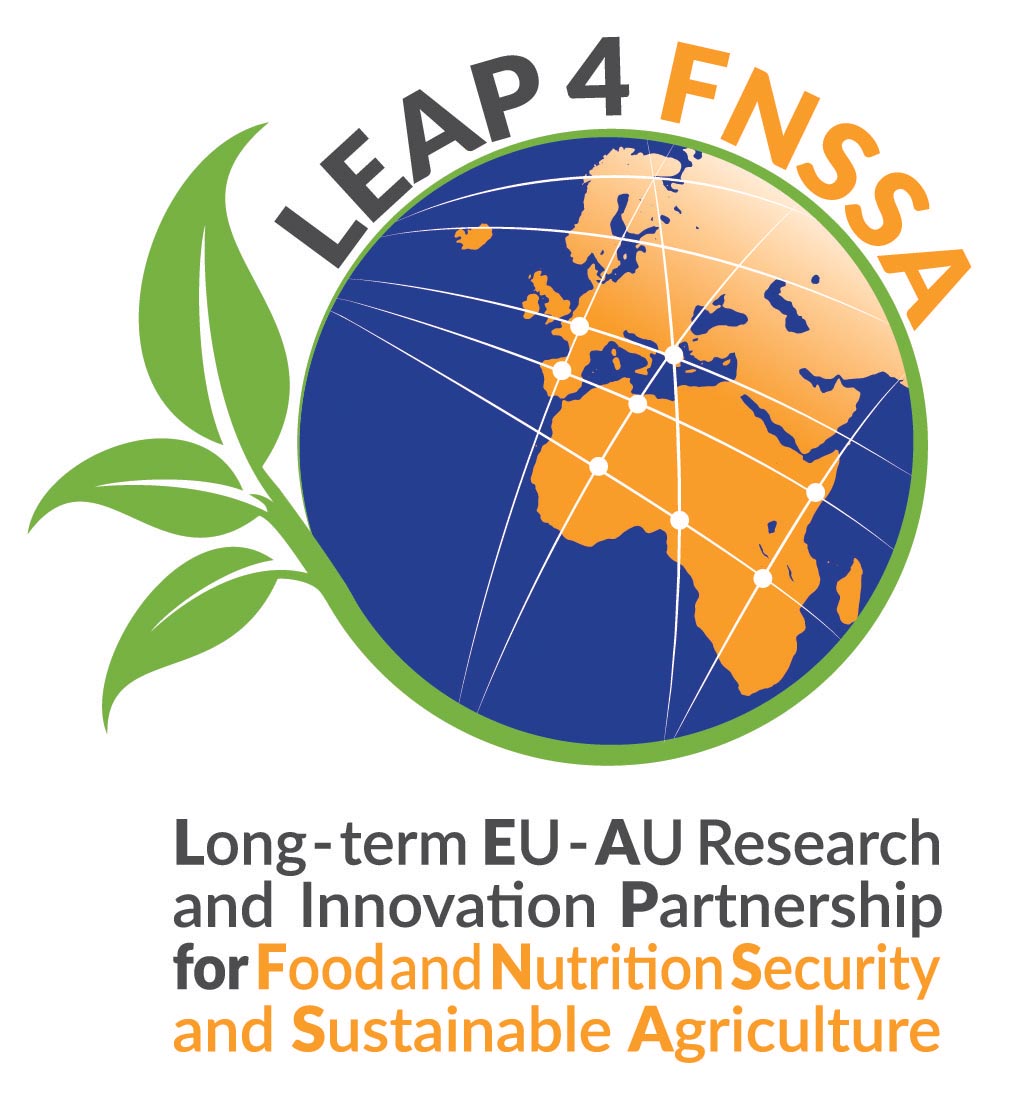 LEAP4FNSSA workshop 13 July 2022