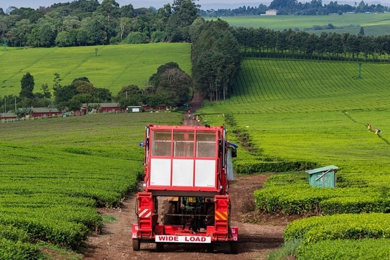 7th Africa Agri Expo 19-20 February 2023