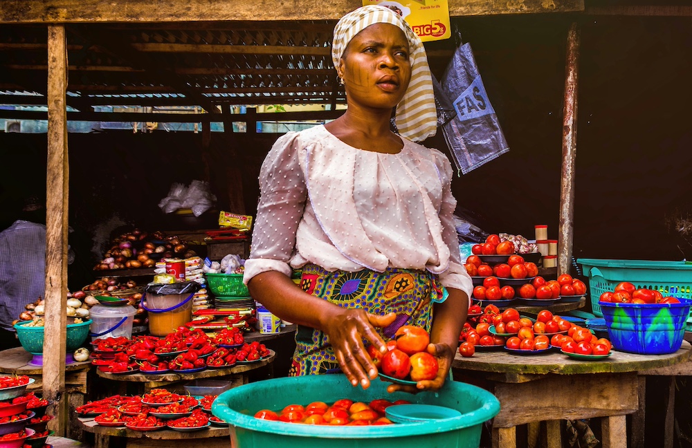 Global Bioeconomy Summit 23-24 October 2024