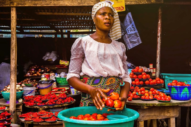 Global Bioeconomy Summit 23-24 October 2024