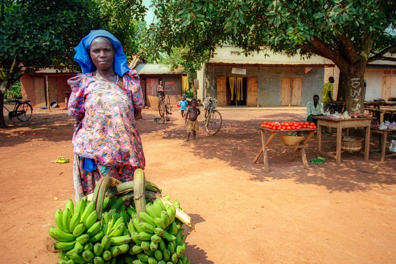 BIO4Africa builds the foundations for technology field tests