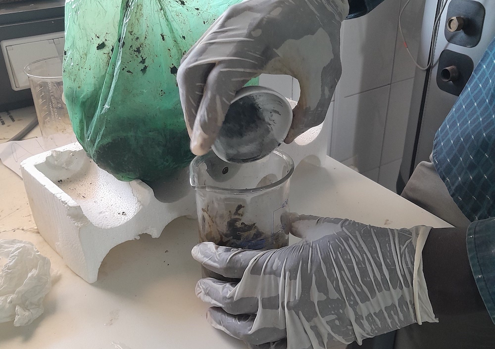 BIO4Africa trials and validation results: interim report