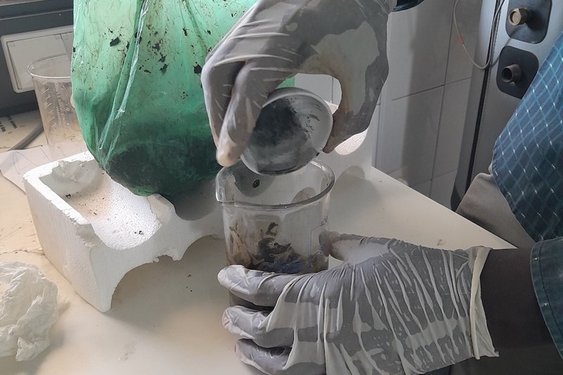 BIO4Africa trials and validation results: interim report