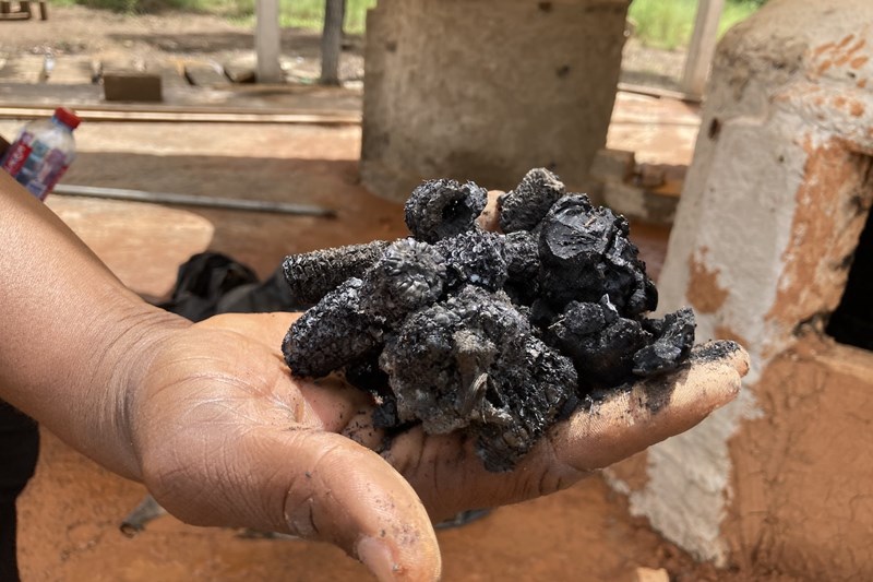 Cross-case comparison of findings and evaluation of diversification potential