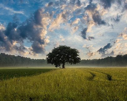 The EU AgriResearch Conference 31 May - 1 June 2023