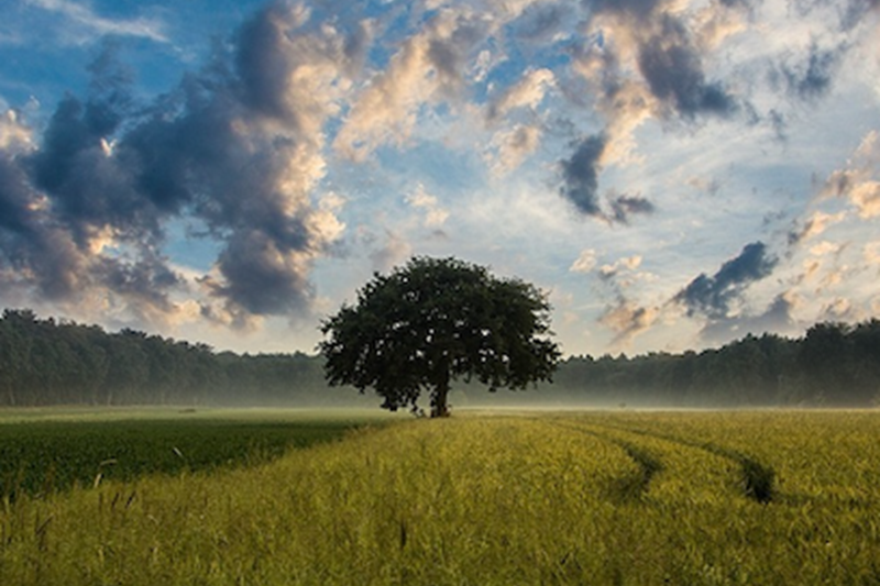 The EU AgriResearch Conference 31 May - 1 June 2023