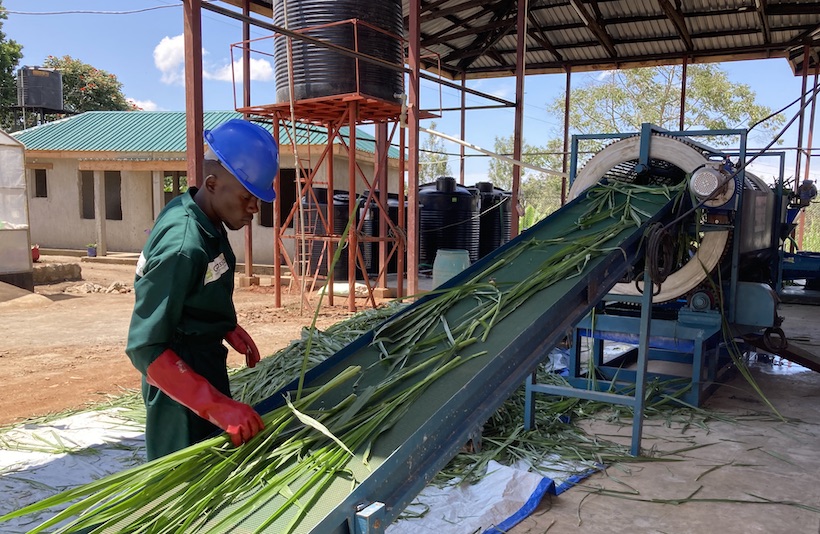 Africa gains first green biorefinery for sustainable livestock feed
