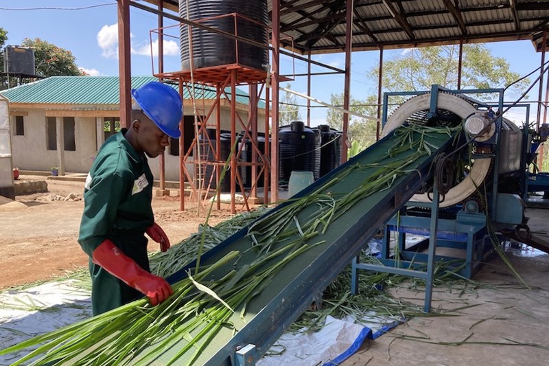 Africa gains first green biorefinery for sustainable livestock feed